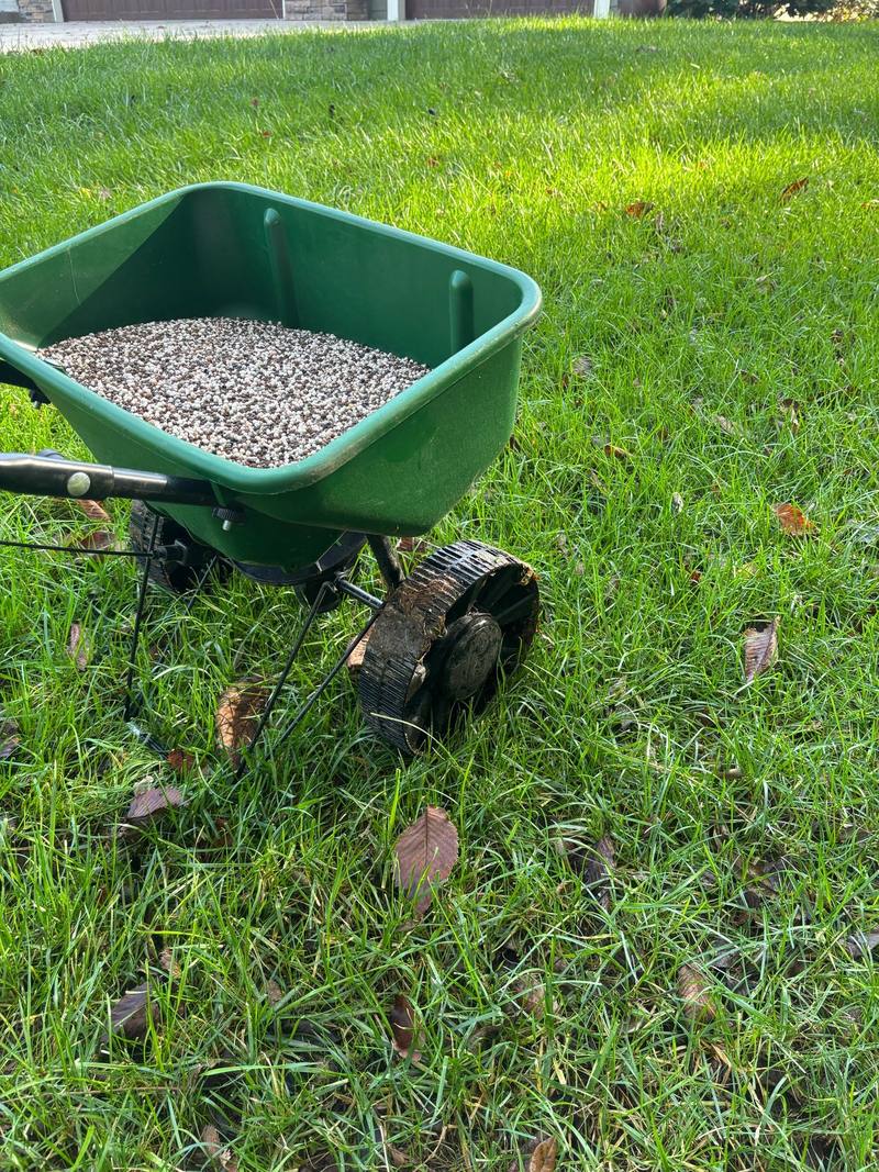 Aeration and seeding job by Stewart's Seasonal Services