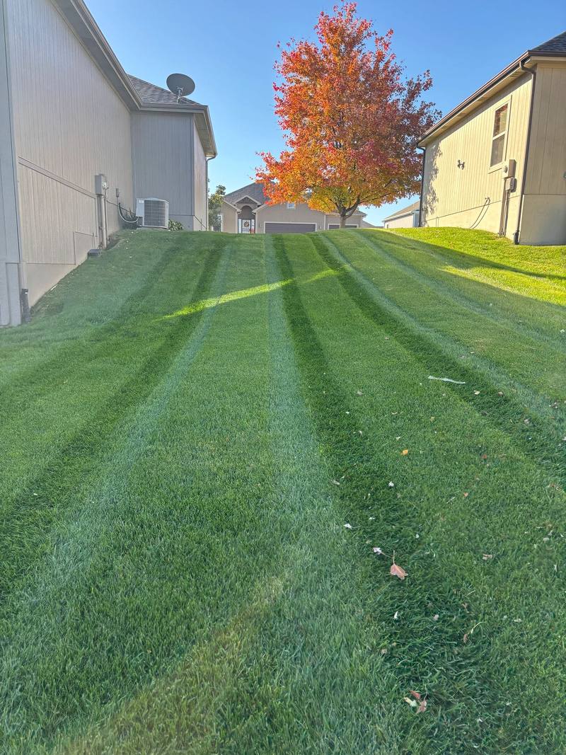 Striped lawn mowed by Stewart's Seasonal Services