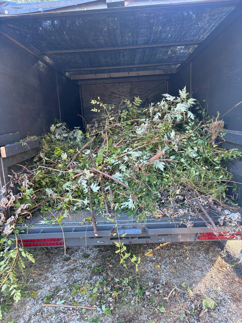 Brush and junk removal job by Stewart's Seasonal Services