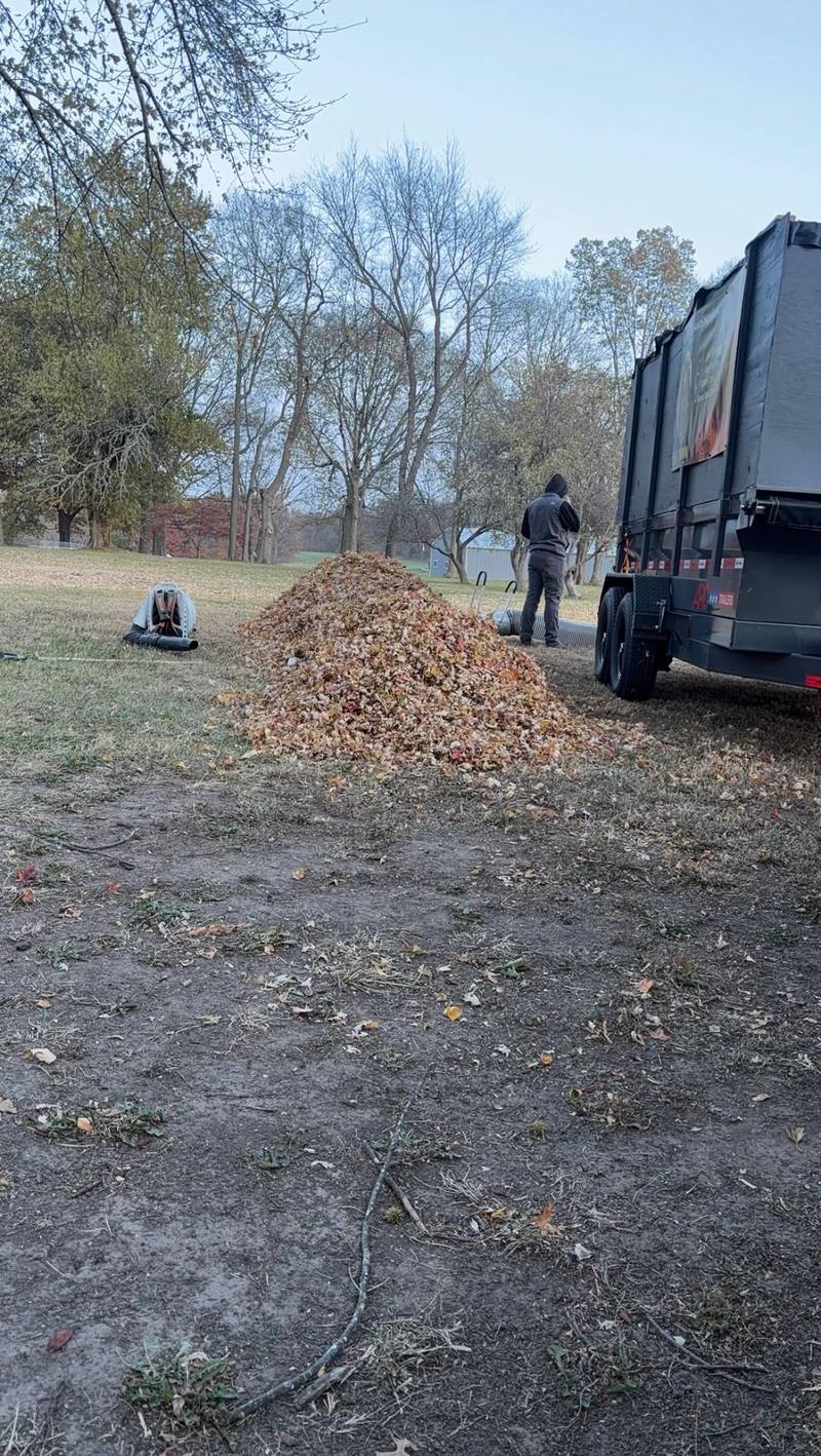 Leaf clean-up job by Stewart's Seasonal Services