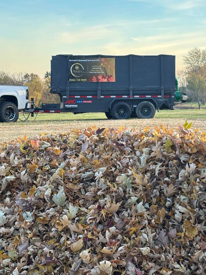 Leaf clean-up job by Stewart's Seasonal Services